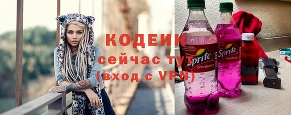дмт Горнозаводск