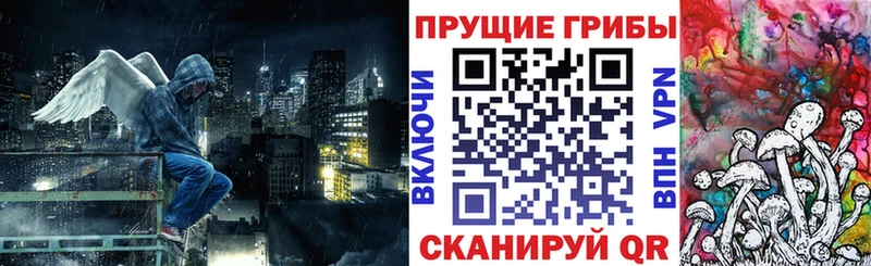 Купить где  Нововоронеж  Псилоцибиновые грибы MAGIC MUSHROOMS 